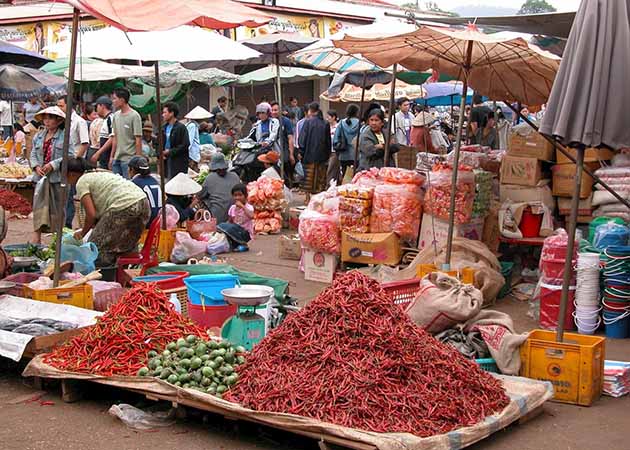 Local Market in Pakse
