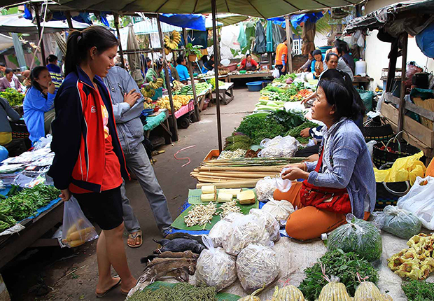 Laos Tours