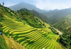 Laos