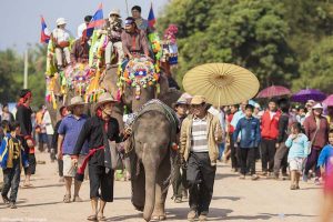 Elephant - National Animal of Laos