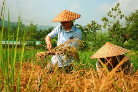 Laos Tour Packages - Wonderful Laos Family Retreat