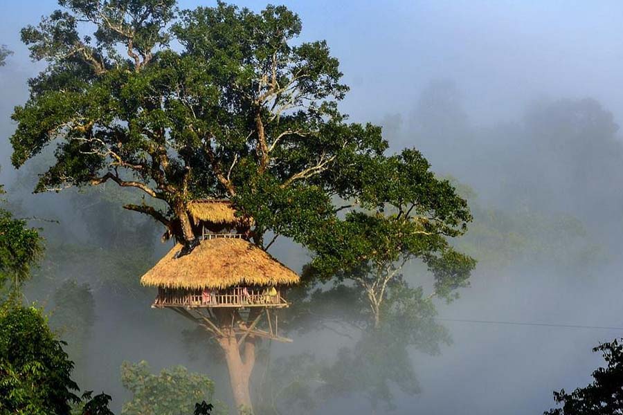 Bokeo Nature Reserve & The Gibbon Experience - Laos Tours