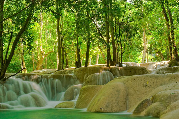 Lush green Tad Sae waterfall