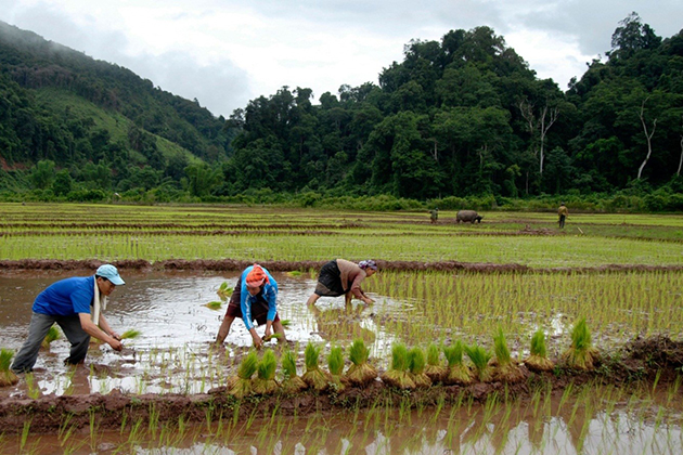 The Pristine Beauty of Phongsaly