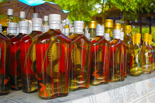 Laos-snake-whiskey