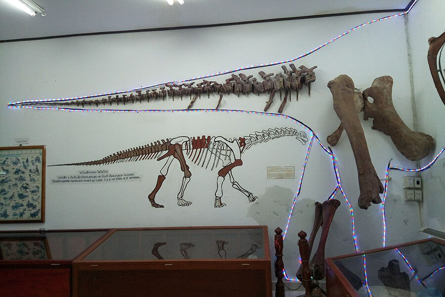 Dinosaur museum in laos