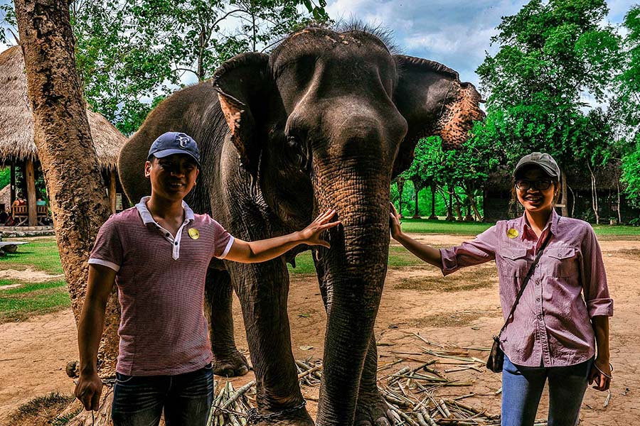Elephant Village Sanctuary in Laos