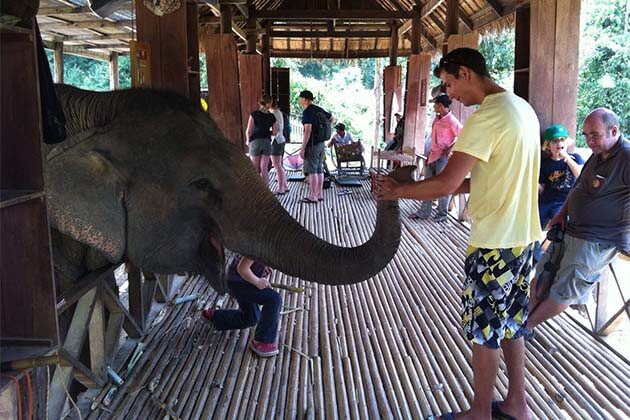 elephant village sanctury in Laos 