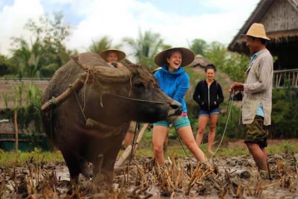 living land rice farm experience, Laos family vacations