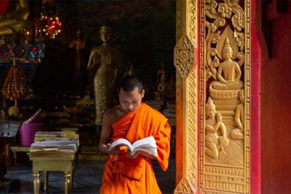 MekonMonk is reading Bhudda experience, Laos luxury tour packagesg Elephant Park Sanctuary