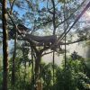 9 days a glimpse of laos tour