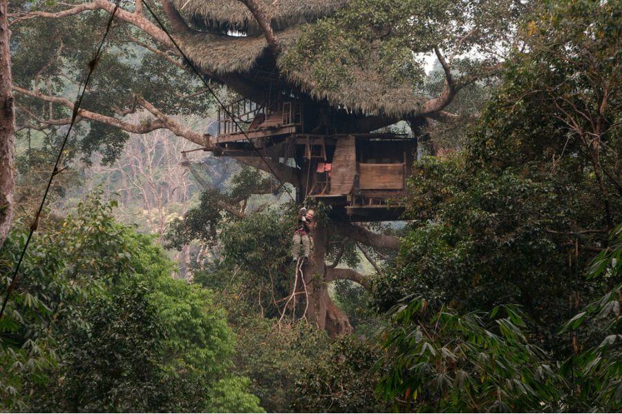 Experience unique treehouses in the Gibbon Experience, Laos