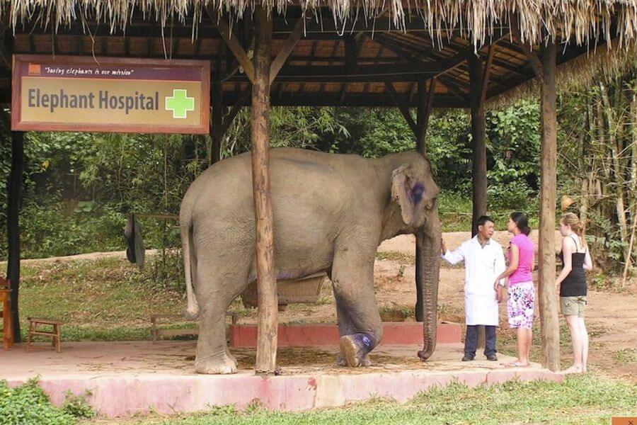 Elephant Village Sanctuary - Laos tour packages