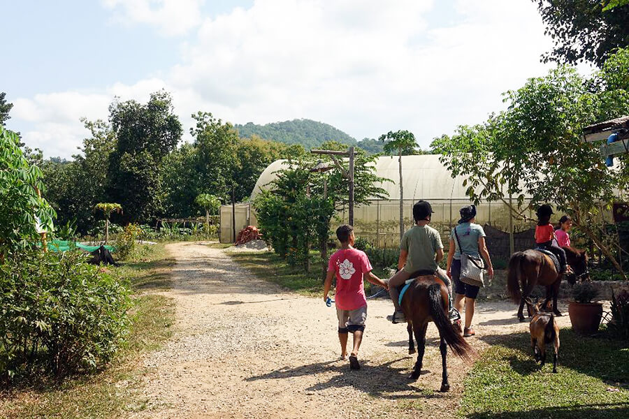 Horseback riding - Laos tour packages