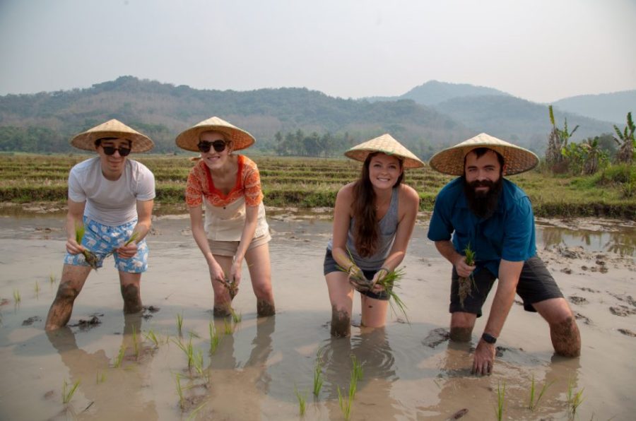 Living Land Farm Laos