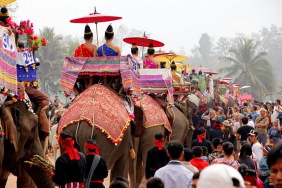 The Elephants Festival in Laos 2024